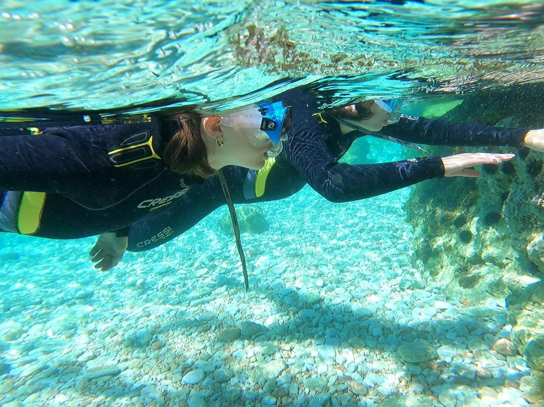 Kanelakis Diving Experiences-Nea Makri必去景点