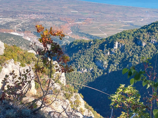 Entopia Project-塞萨洛尼基必去景点