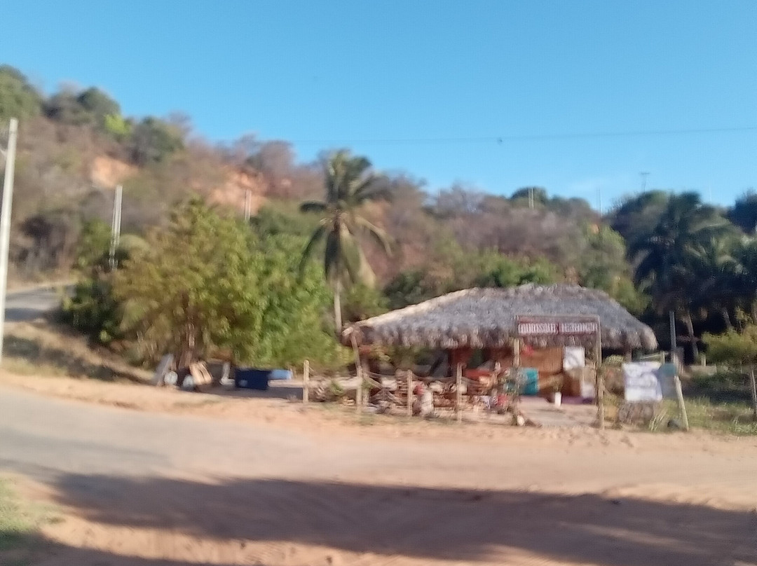 Praia Ponta Grossa-Icapui必去景点