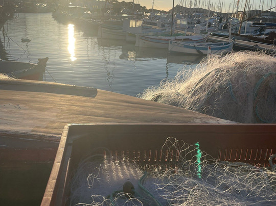 Port du Brusc-Six-Fours-les-Plages必去景点