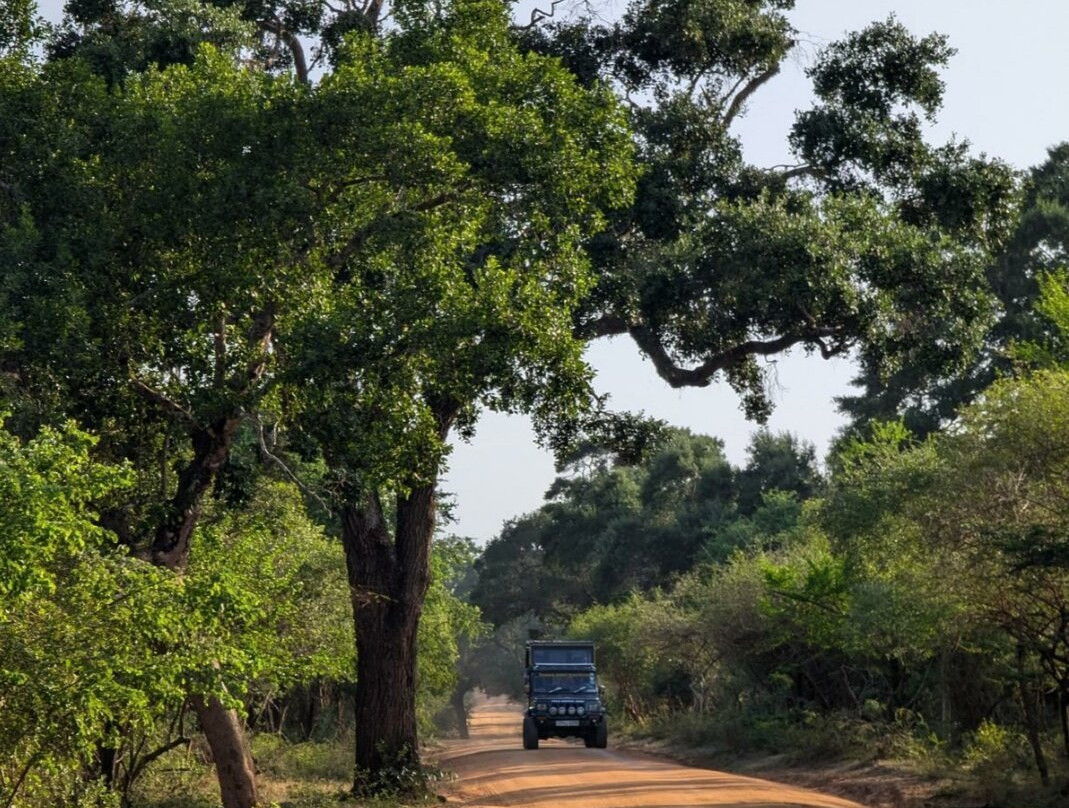 YALA Amazing Tours & Taxi Service-Yala必去景点