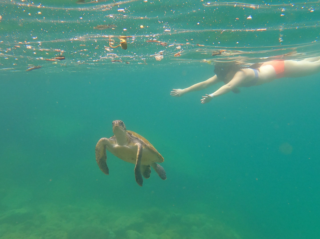 Acqua Jungle Ilha Grande-Vila do Abraao必去景点
