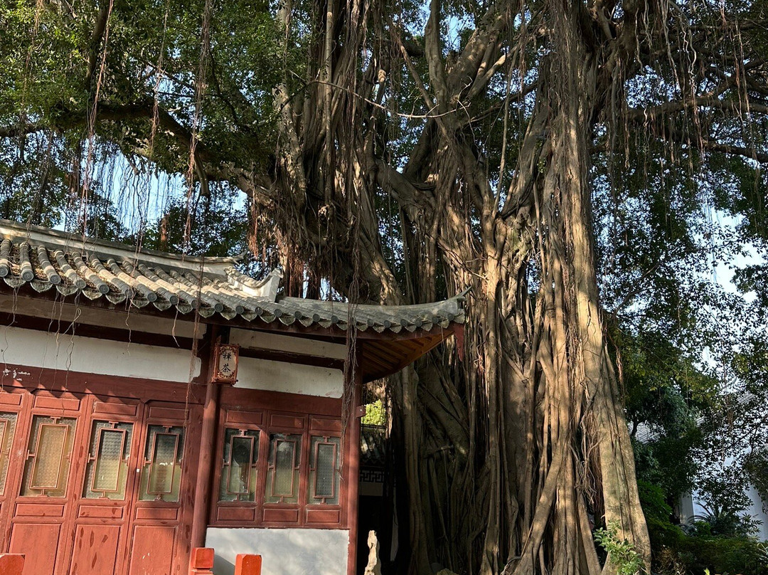 福州西湖公园景点图片