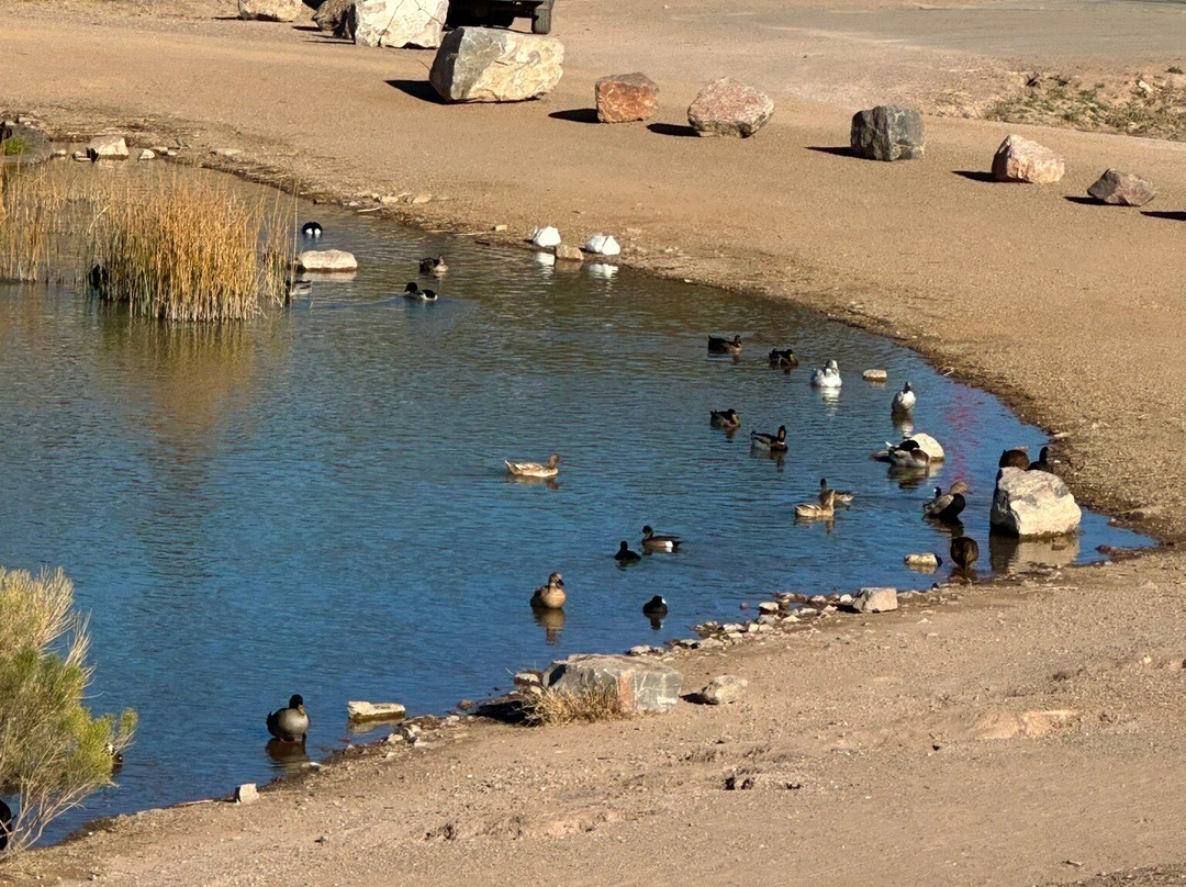Voiers Park-Deming必去景点