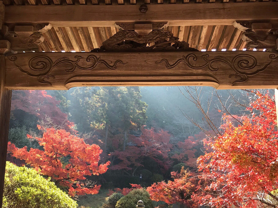 Chogaku-ji Temple-天理市必去景点