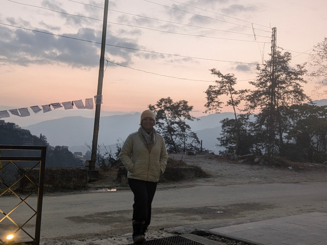 Tree of Life Indra Mandala Hotel, Gangtok主图