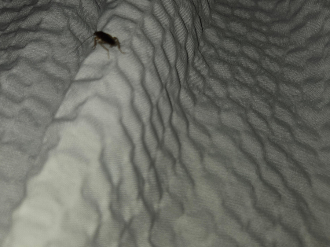 Days Inn by Wyndham Fordyce主图