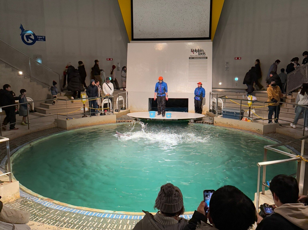 城崎水族馆景点图片