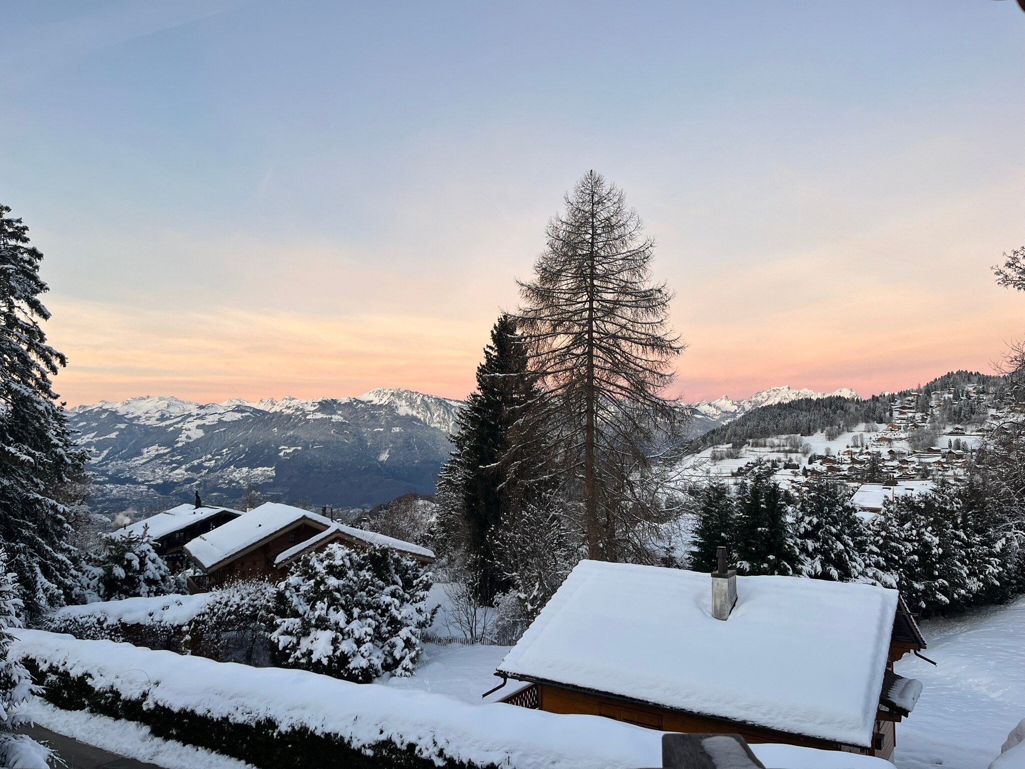 Alpe Fleurie Hotel & Residence-官方