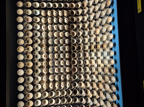 上海博物馆(东馆)-上海市必去景点