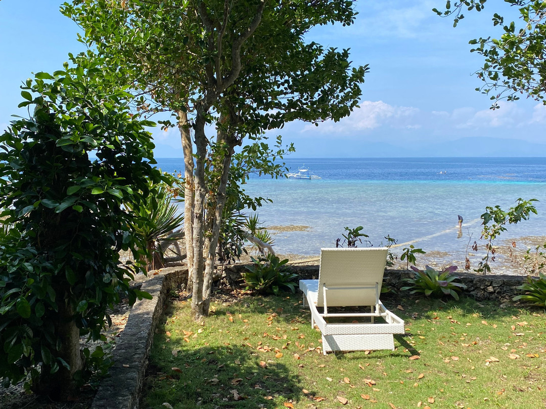 蓝色兰花度假村主图