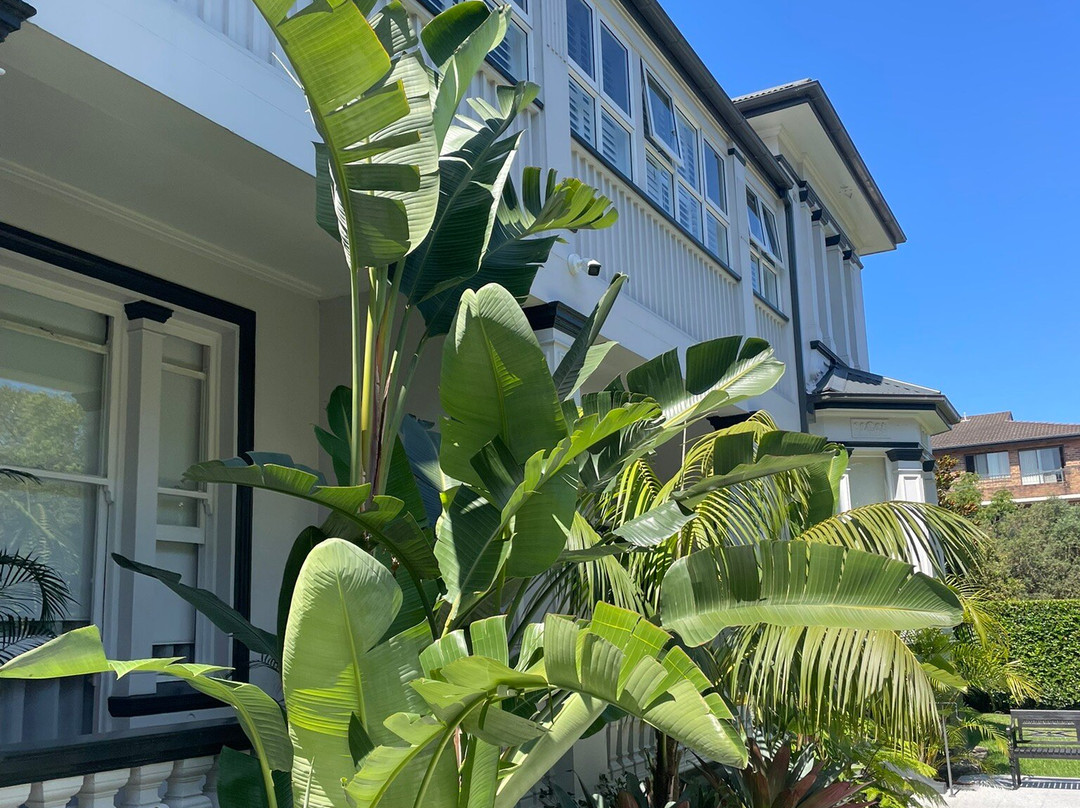 圣马可寄宿酒店 主图