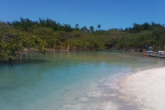 Emoçoes Tuor-累西腓必去景点