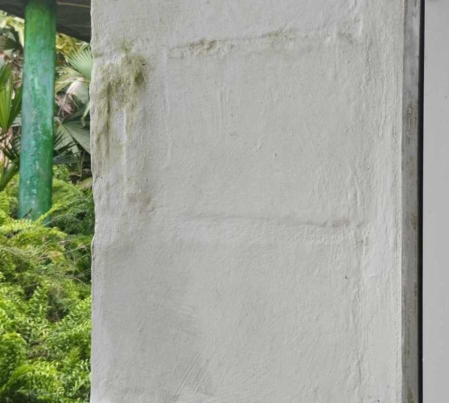 Los Colores Ecoparque主图