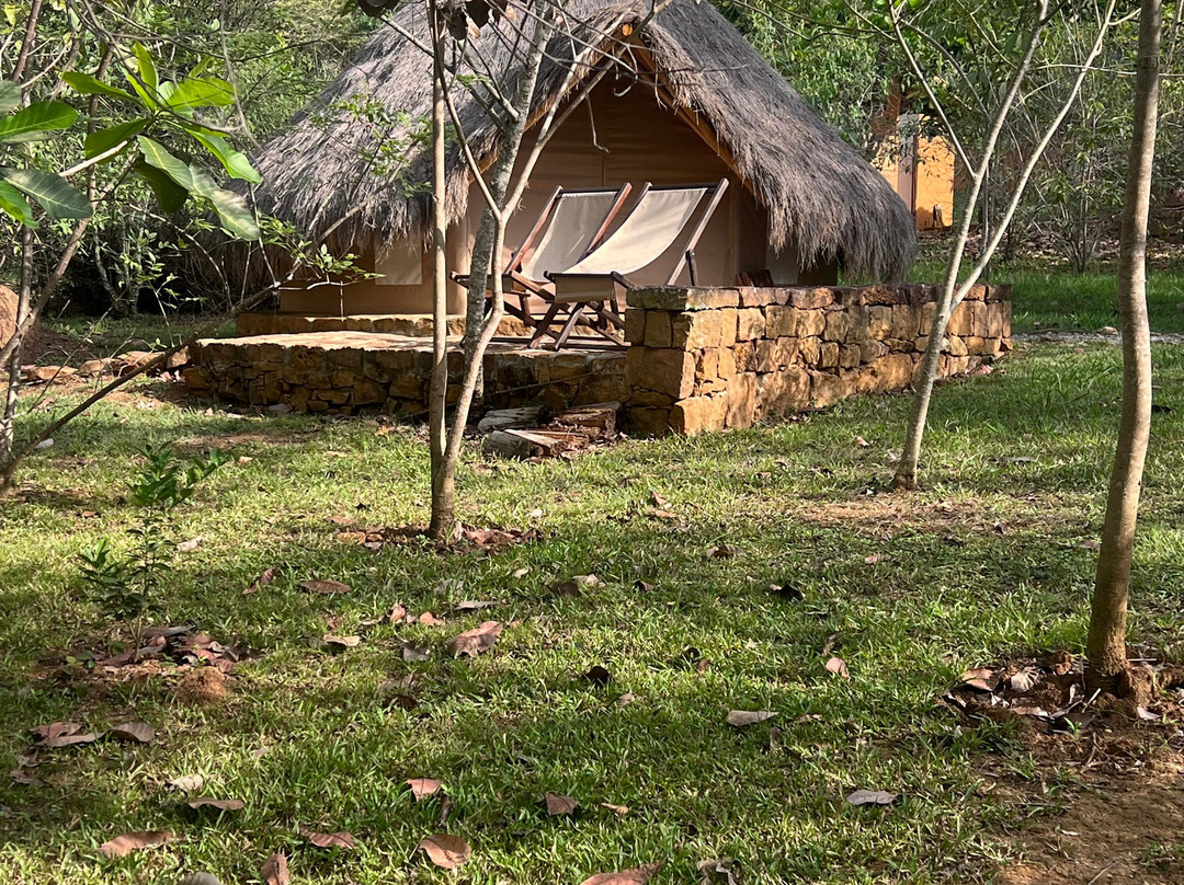 Nativo Glamping主图