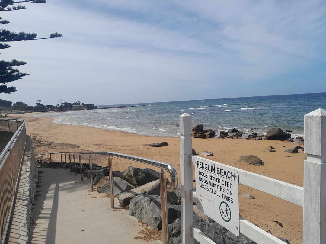 Penguin Visitor Information Centre-企鹅岛必去景点