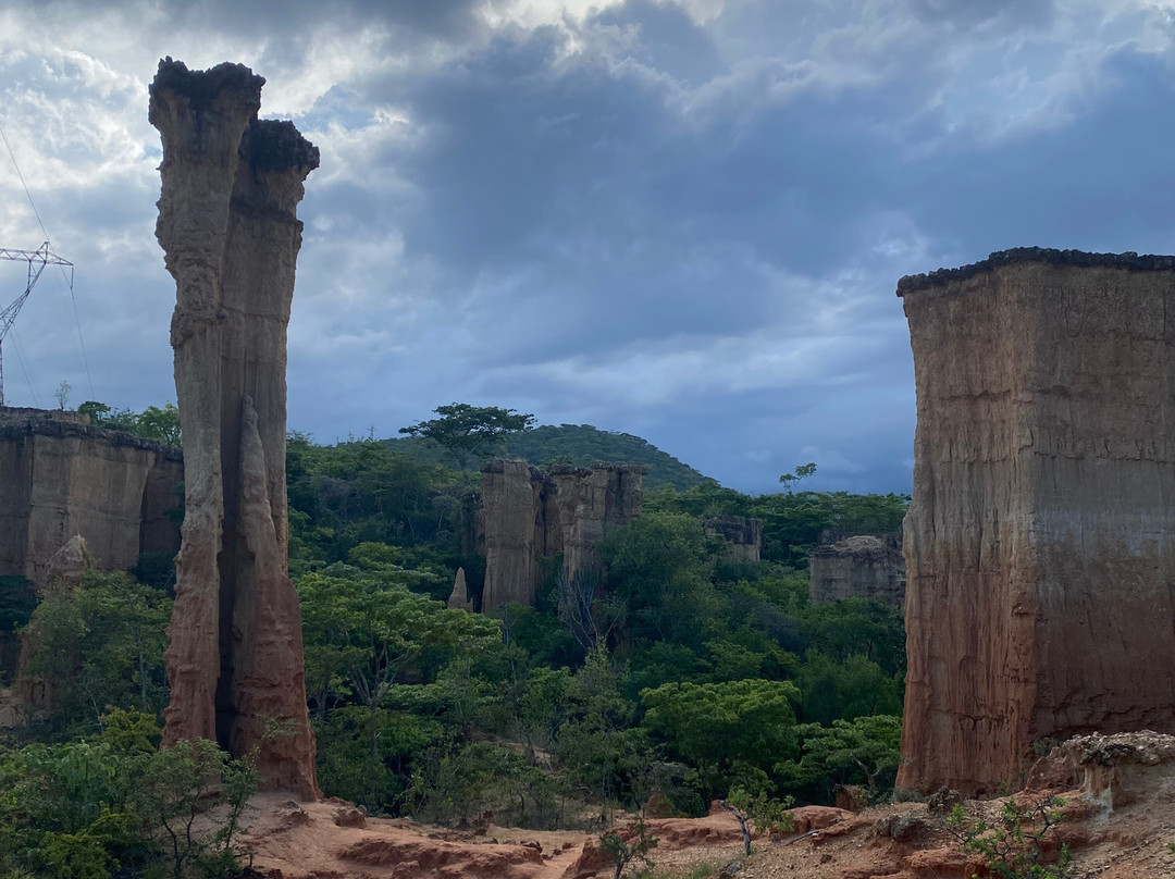 GREAT MINDS TOURS & SAFARI-Dar es Salaam必去景点