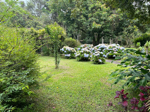 曲调多巴胺赫瑞宾馆主图