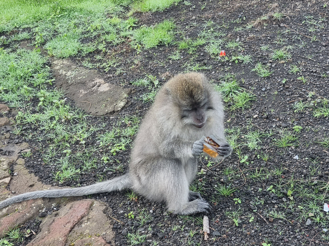 Rinjani Trekking Info-Senaru必去景点