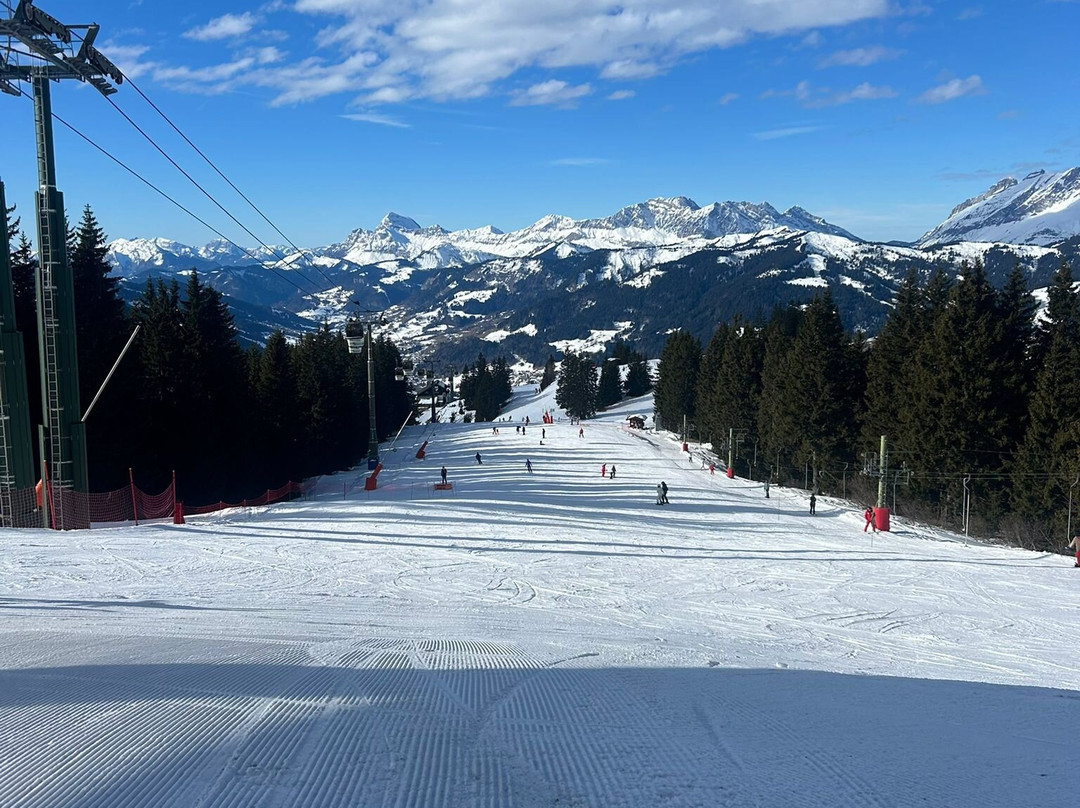 Chamonix Ski School-霞慕尼必去景点