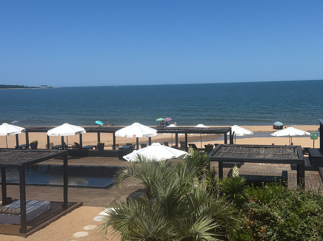 Serena Hotel Punta Del Este主图