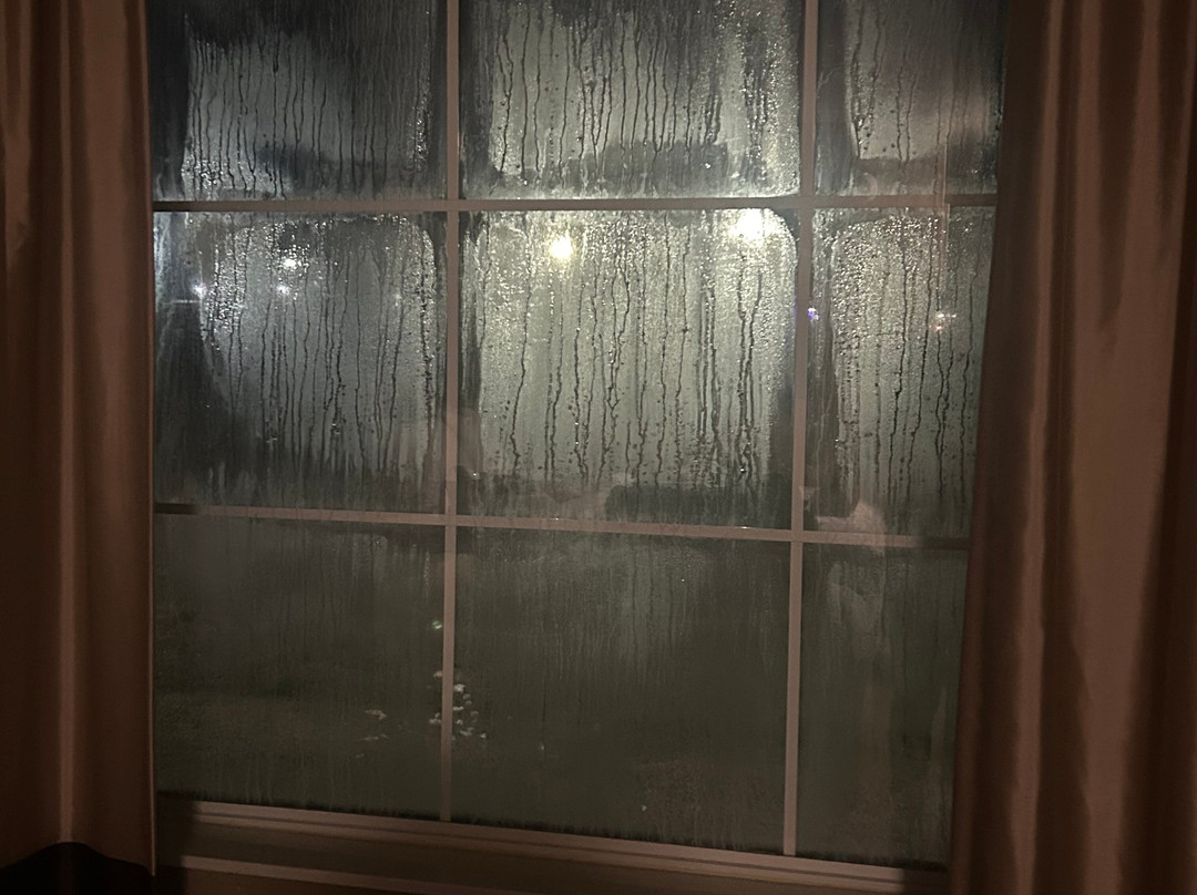 Best Western Morgan City Inn主图