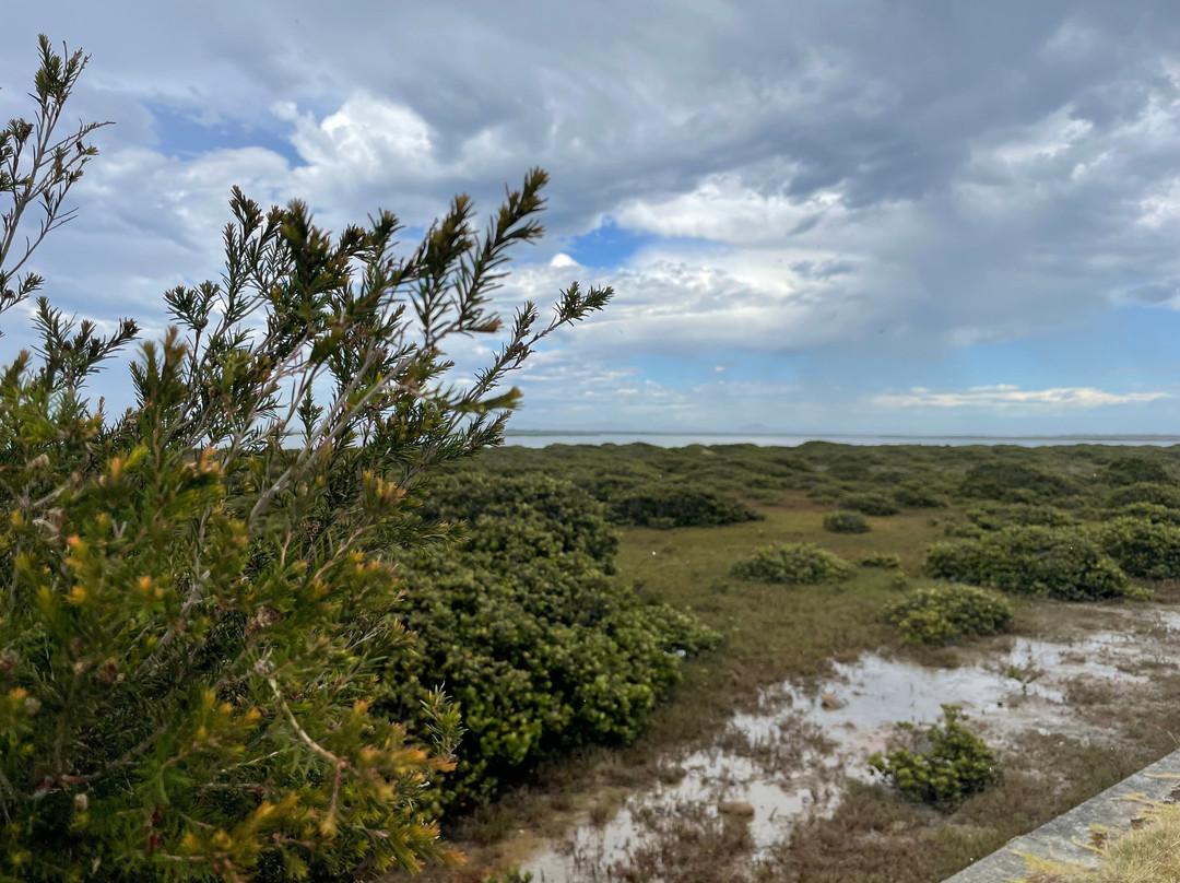 Christopher Robinson Walking Trail-Port Albert必去景点