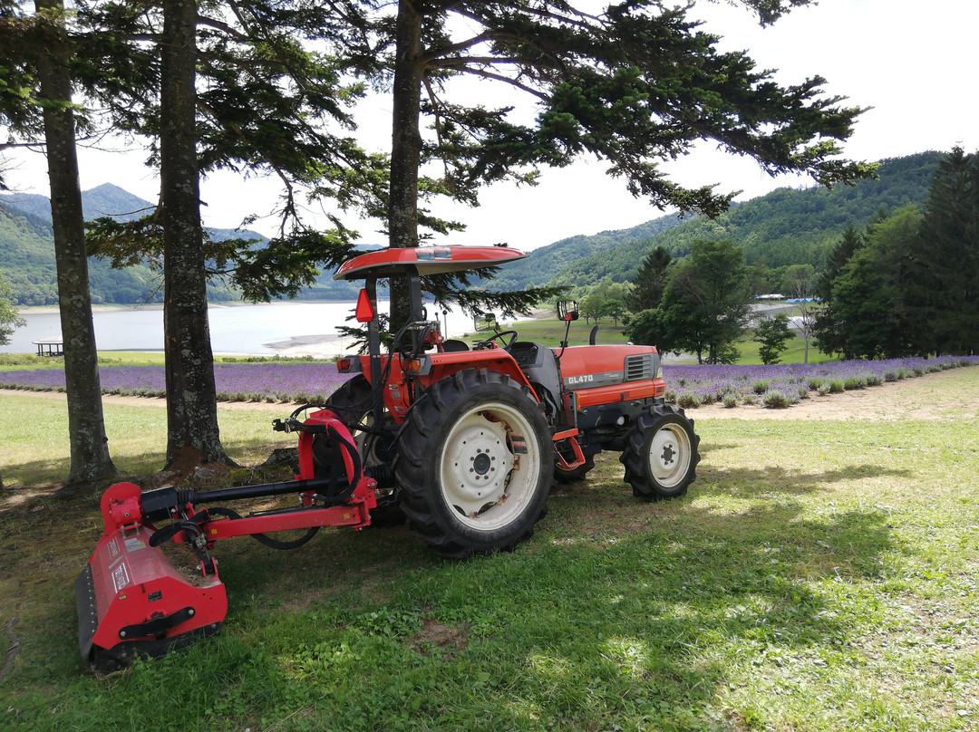Lake Kanayama Lavender Garden-南富良野町必去景点