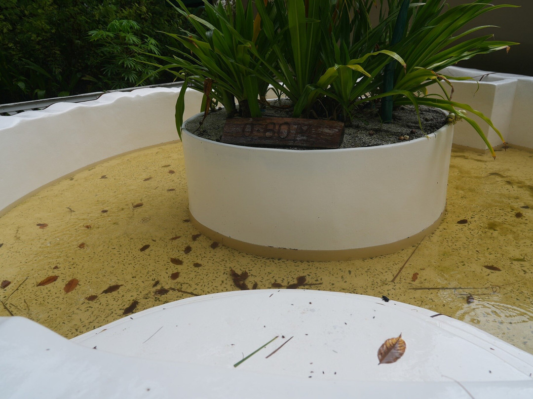 马尔代夫可哈德岛酒店主图