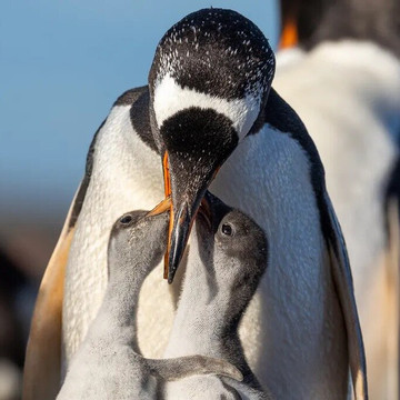 Rob-Stanley必去景点