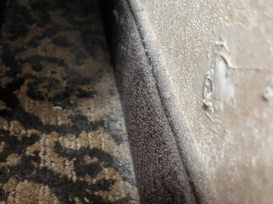 Best Western Plus Steeplegate Inn主图