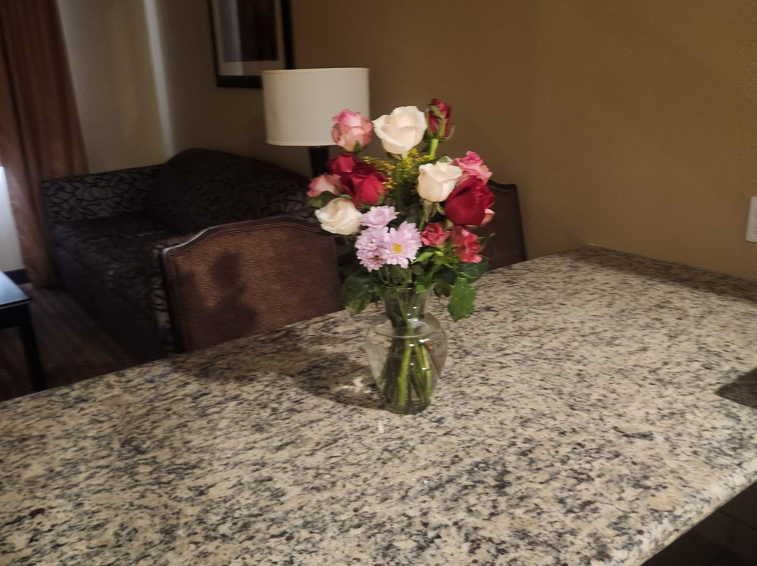 Best Western Plus Vintage Valley Inn主图