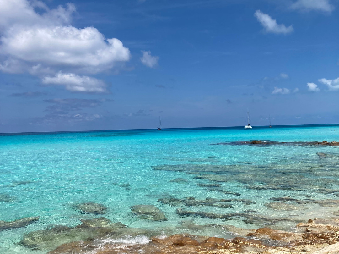 Radio Beach-Alice Town必去景点