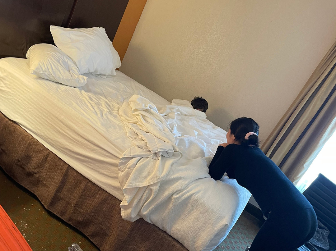 贝斯特韦斯特安提克套房酒店主图