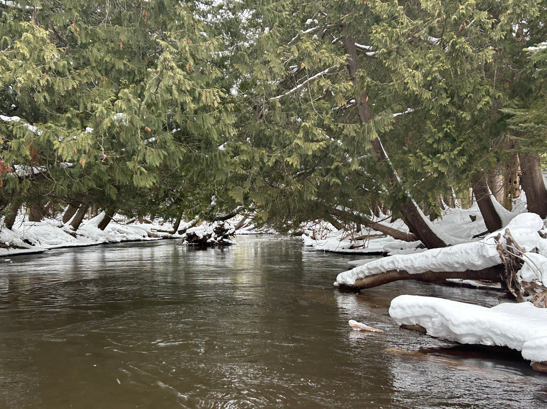 Sturgeon River Paddlesports景点图片