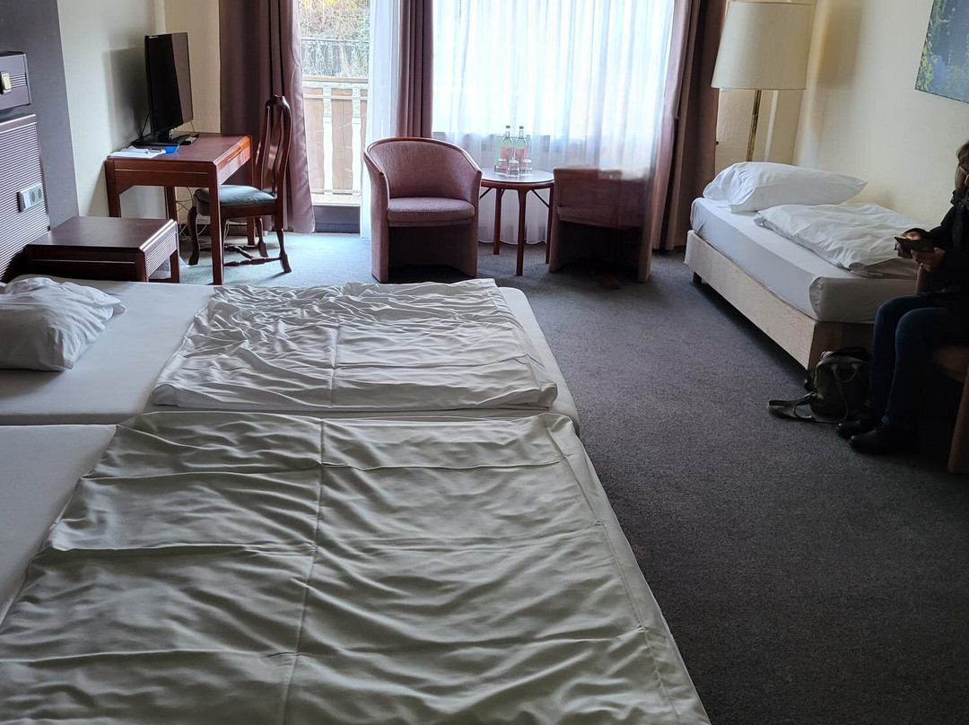 Sauerland Alpin Hotel主图