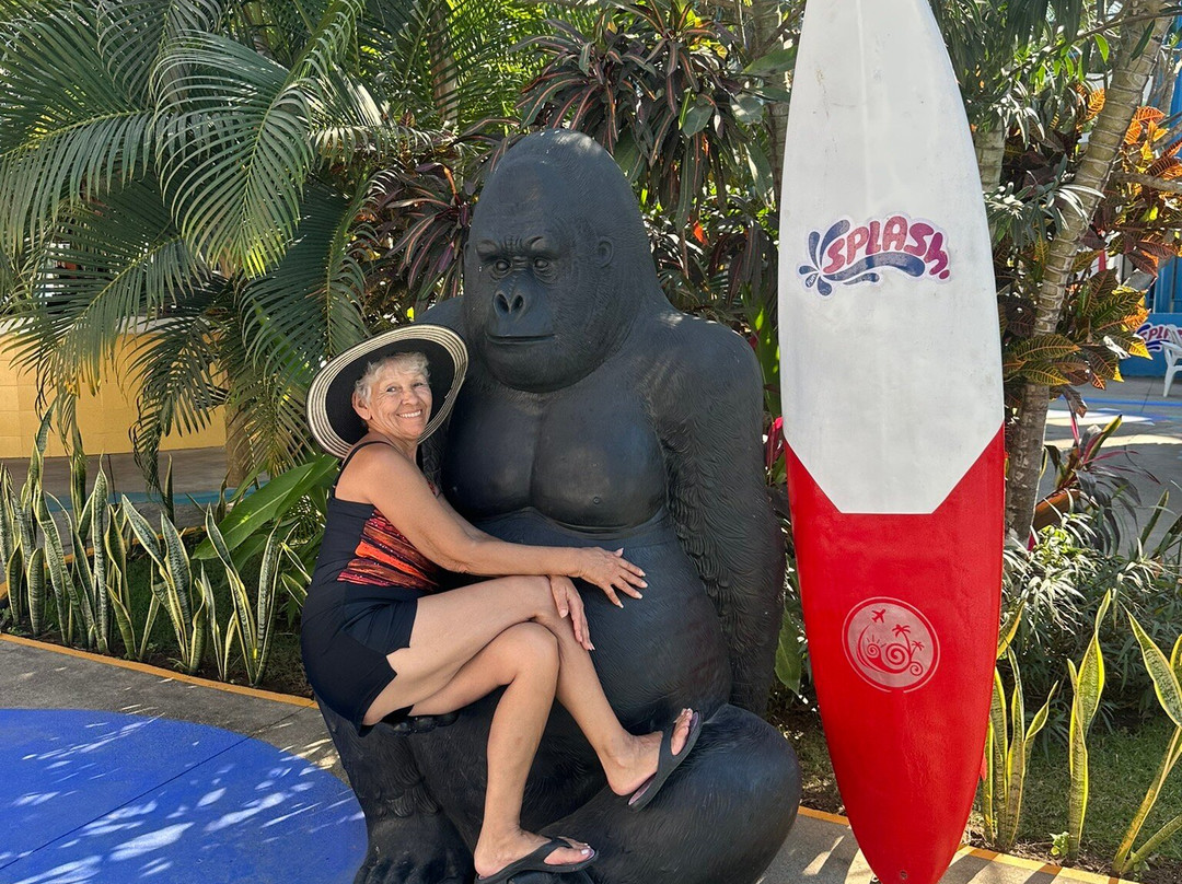 Splash Parque Acuático Vallarta-新瓦雅塔必去景点