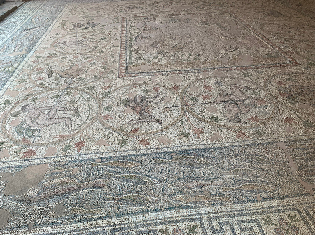 Nicopolis Museum-Preveza必去景点