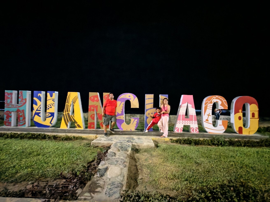 Hotel Las Palmeras主图