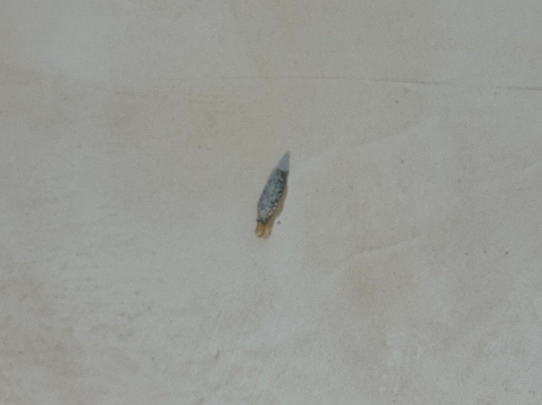 L'amor Boutique Hotel Quy Nhơn主图