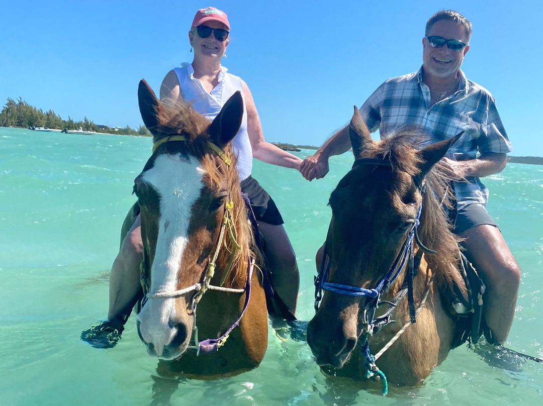 Heritage Tours & Horseback Riding-普罗维登西亚莱斯必去景点