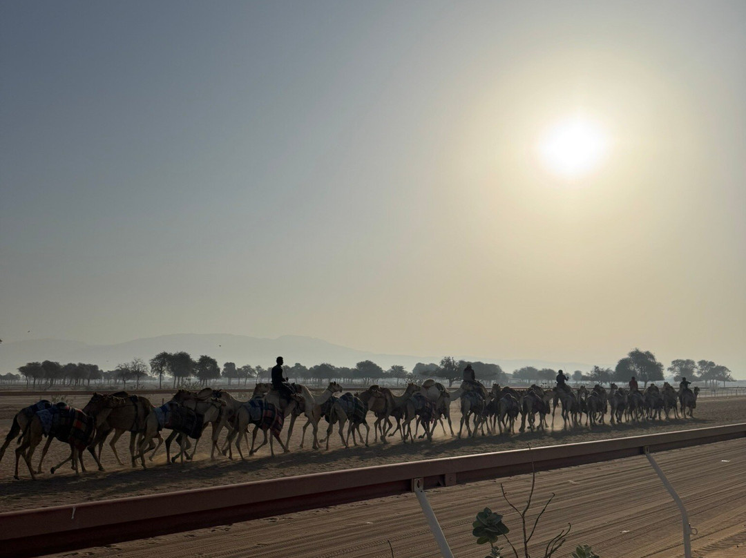 Al Sawan Camel Track-哈伊马角必去景点