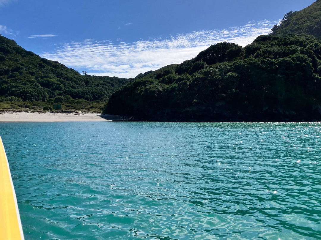 Moutohora Island Sanctuary (Whale Island) - Day Tour-法卡塔尼必去景点