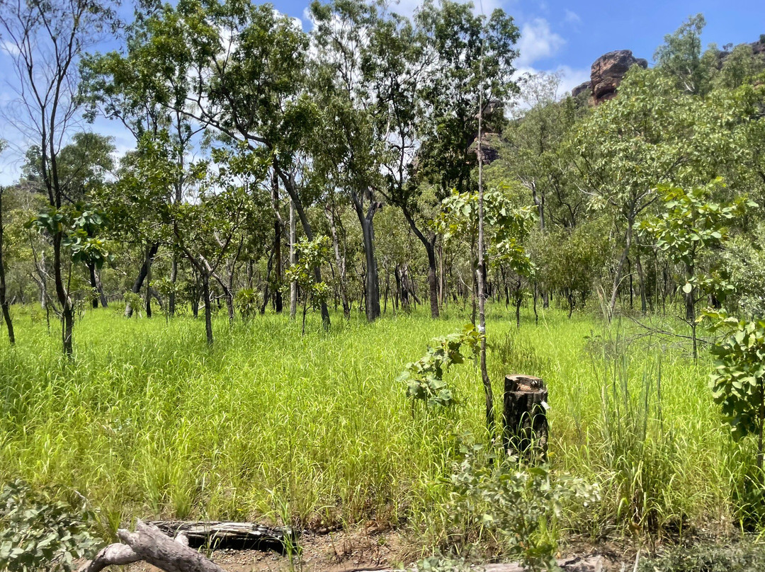 Kakadu National park景点图片