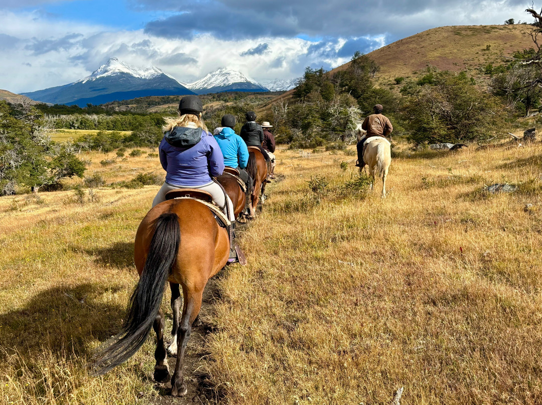 Pingo Salvaje-纳塔莱斯港必去景点