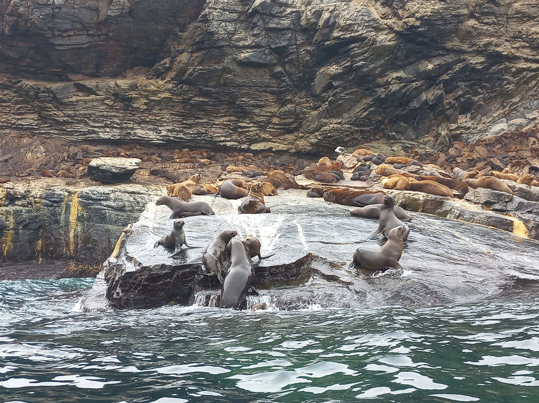 La Serena Turismo Chile-拉塞雷纳必去景点