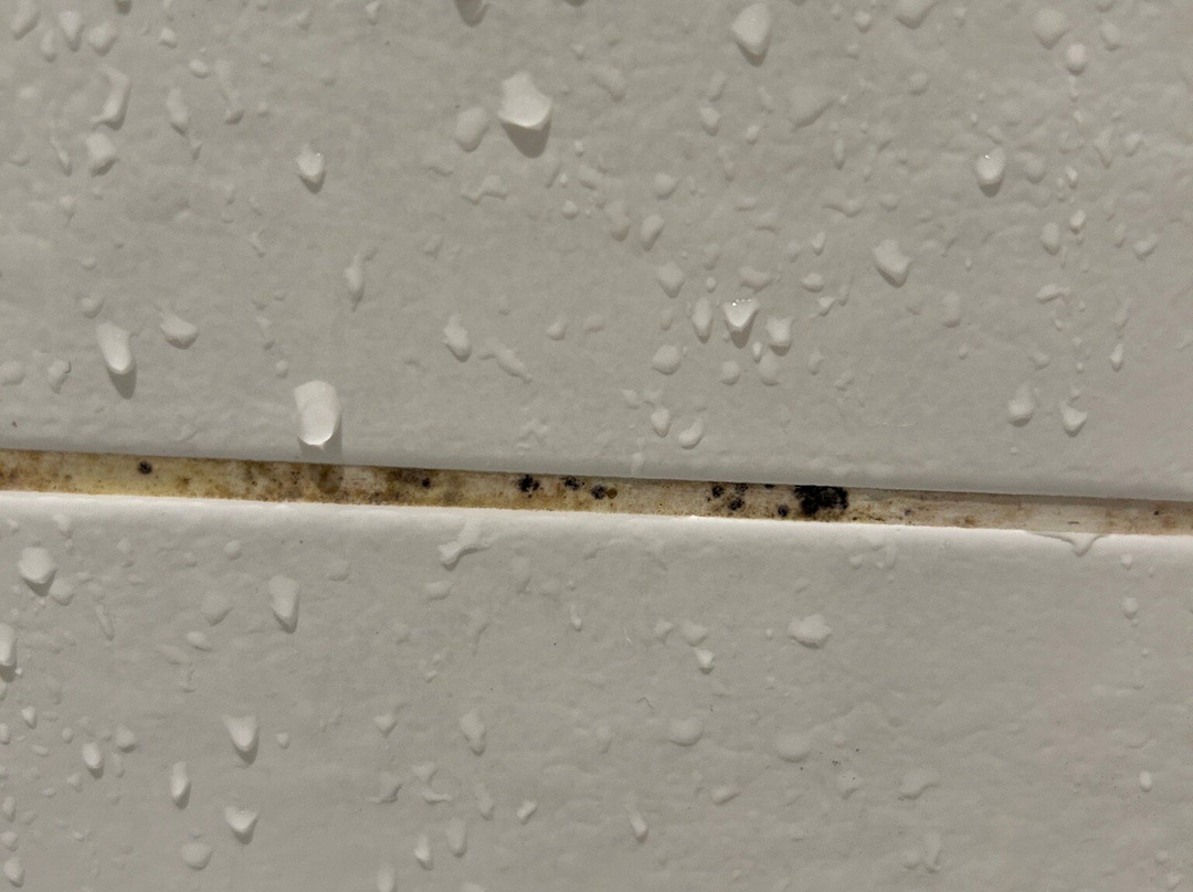 Hotel Club MMV Plagne 2000主图