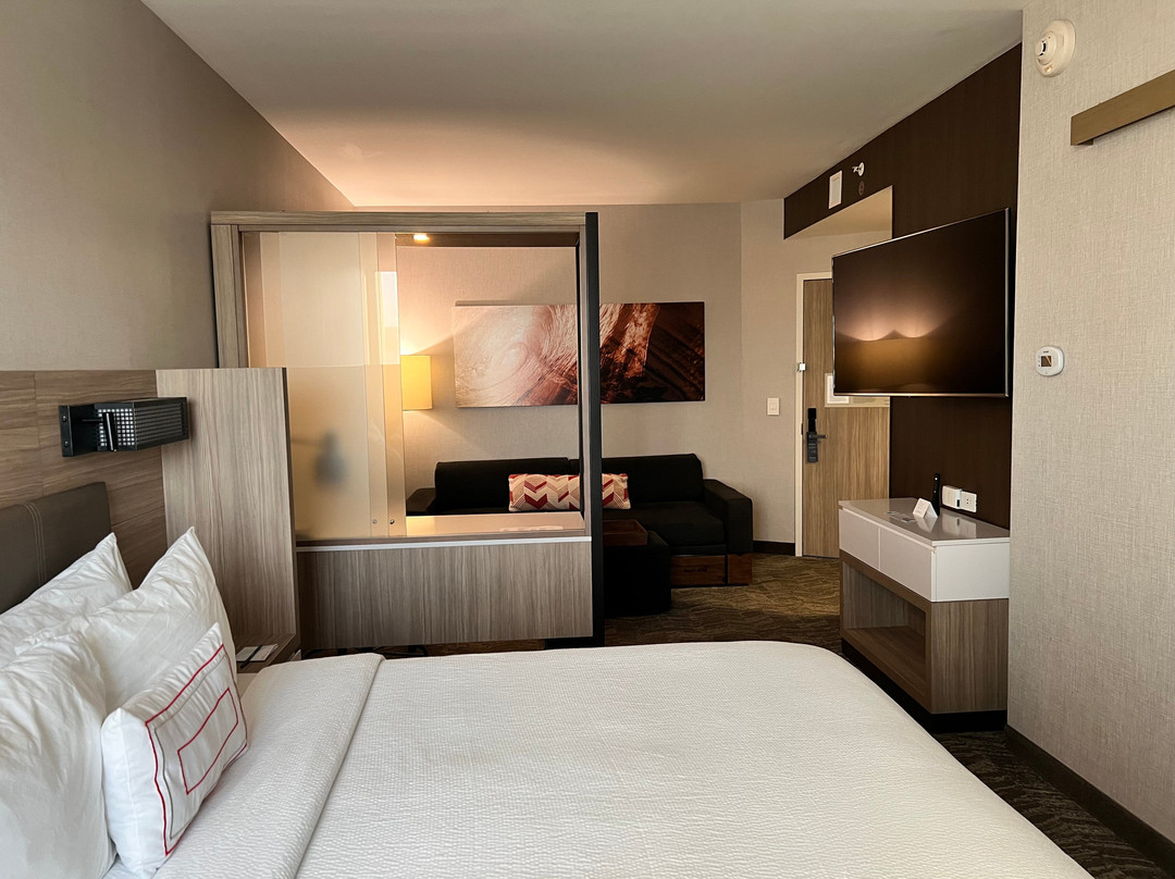 SpringHill Suites by Marriott Punta Gorda Harborside主图