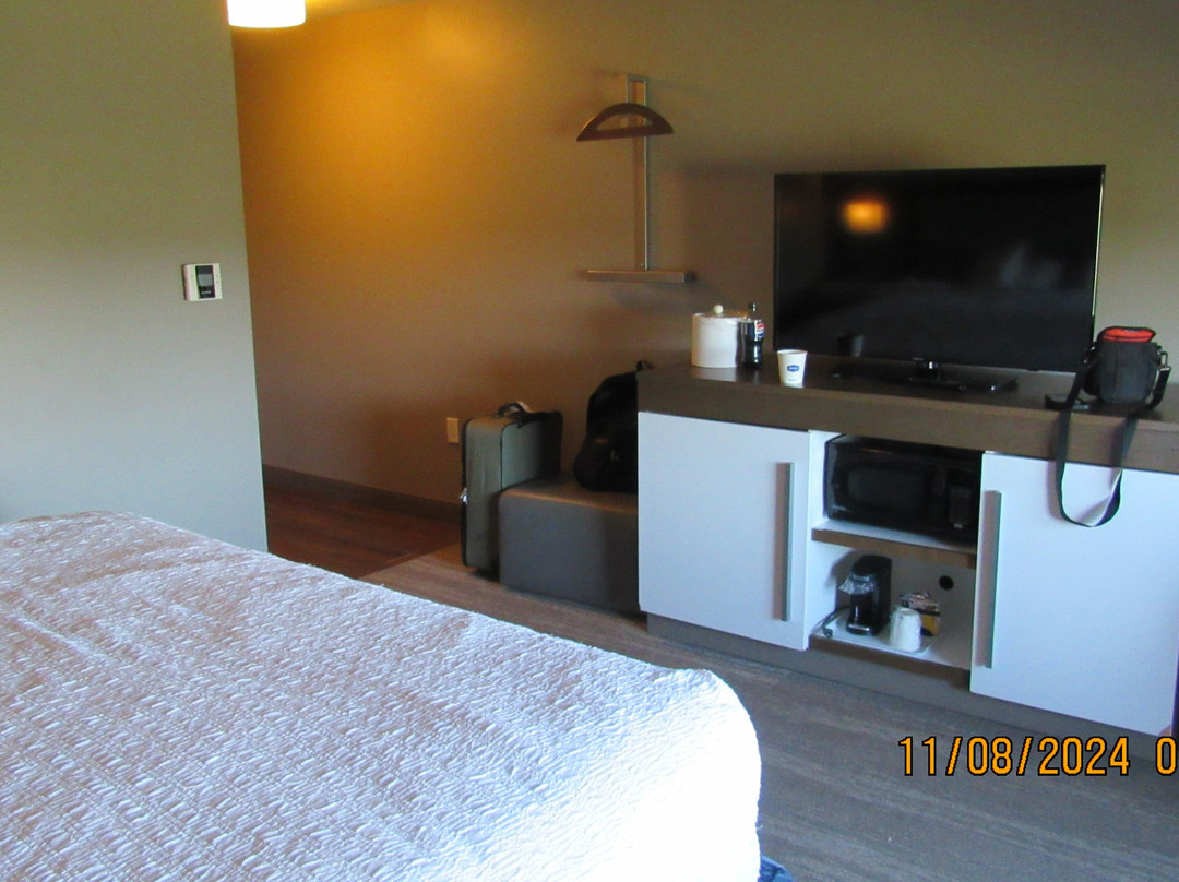 Hampton Inn  Livonia Detroit主图