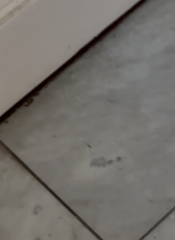 Radisson Aquatica Resort Barbados主图